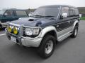 1994 Mitsubishi Pajero (V46) picture